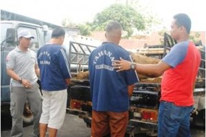Barang bukti dan pelaku ilegal loging diamankan di Mapolrs Kuningan.
